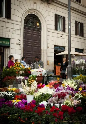 a bunch of flowers in front of a building at The View of Roma in Rome