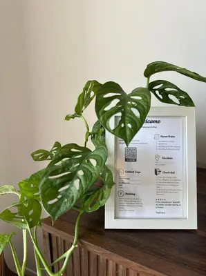a green plant sitting next to a picture frame at Rhome Holiday Home Casal Bertone in Rome