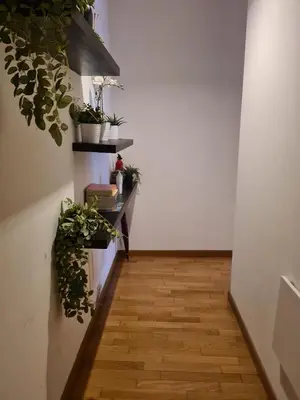 a hallway with potted plants and a wooden floor at Nuovo appartamento stazione Tiburtina in Rome
