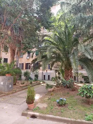 a courtyard with a palm tree in front of a building at Trastevere St Rolli 15 in Rome