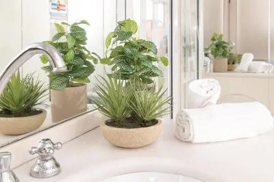 a bathroom sink with two potted plants and a mirror at Lungaretta Trastevere Penthouse Mimì & Cocò Home in Rome
