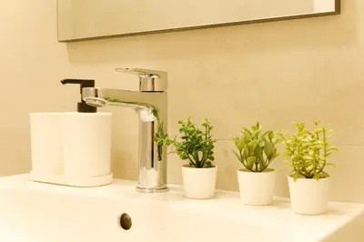 a bathroom sink with a faucet and three plants at Bonelli 67 Apartment in Rome