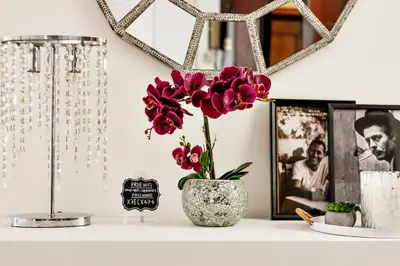 a table with a vase with red flowers on it at Geppy Vacation home near Saint Peter Basilica in Rome