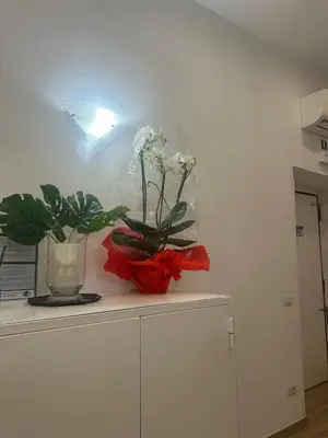 two vases with flowers on top of a cabinet at Marcelina Holidays in Rome