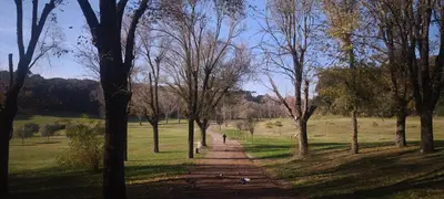 a person walking down a path in a park with trees at Vatican Hills Apartment in Rome