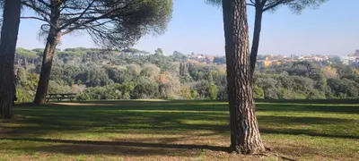 a park with trees and a bench in a field at Vatican Hills Apartment in Rome