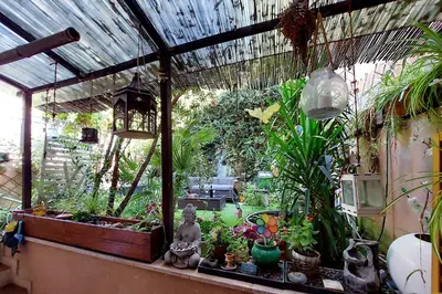 a conservatory with a lot of plants and a lamp at Garden Corner Pigneto apartment Rome in Rome