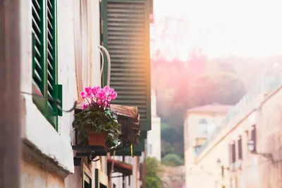 a window with a flower pot on the side of a building at TrastevereHome - Sales Rome in Rome