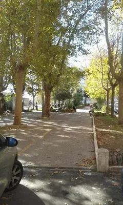a street with trees and a parking lot with a car at Da Anita in Rome