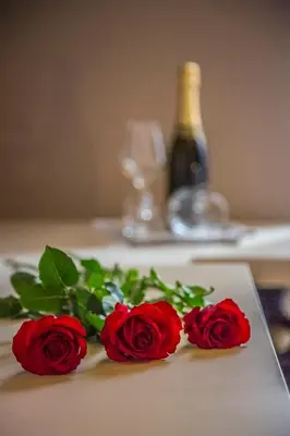 three red roses on a table with a bottle of wine at New Design St.Peter in Rome