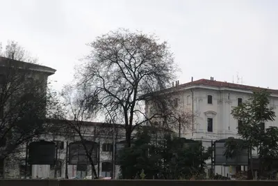 a large white building with trees in front of it at Casa Vacanza Home Sweet Home di Fatha in Rome