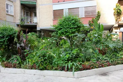 a garden of plants in front of a building at Lo Studio Guest House in Rome