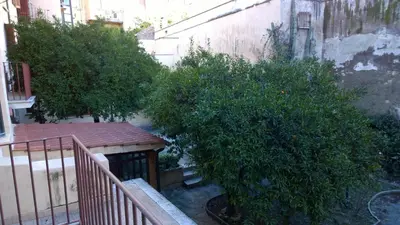 a small tree next to a building at NEW GENERATION HOSTEL Rome center in Rome