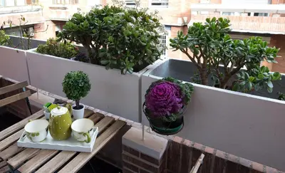 a balcony with a table with flowers and plants at Capone Al Vaticano in Rome