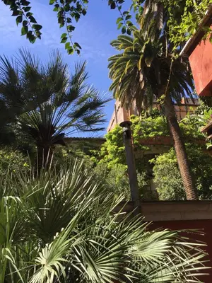 a view of a garden with palm trees and a building at Margutta's Garden in Rome