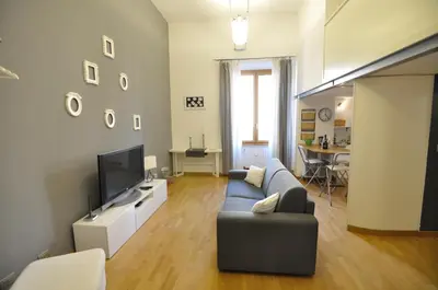 a living room with a couch and a flat screen tv at St. Peter Loft in Rome