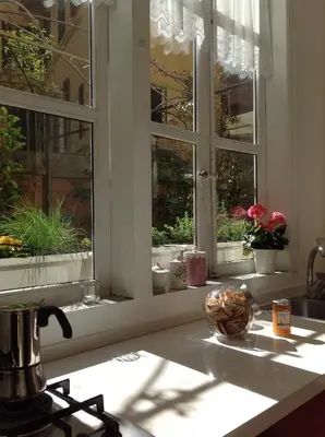 a kitchen counter with a window with potted plants at Viadelloca35 in Rome