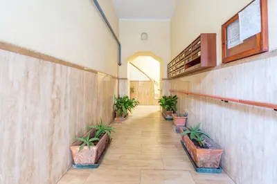 a hallway with potted plants in a building at BHM Urban House Pigneto in Rome