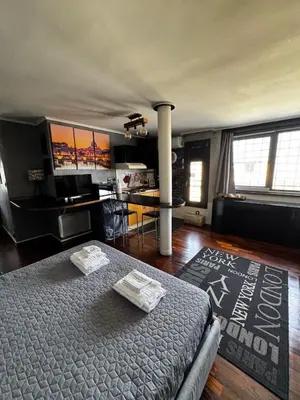 a living room with a bed and a kitchen at Casetta Fleming in Rome