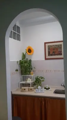 a kitchen with a counter with a sunflower on the wall at Le Tre Sorelle B&b Garbatella in Rome