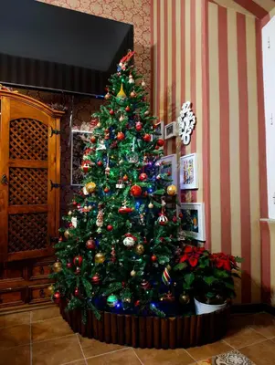 a green christmas tree in a living room at Da Augusto in Rome