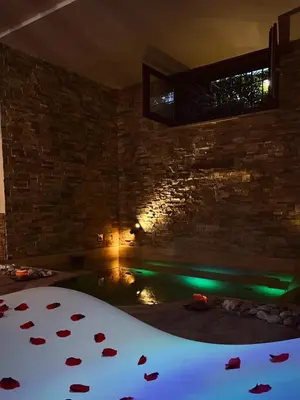 a room with a bed and a swimming pool at Aurelia Garden Gold B&B in Rome