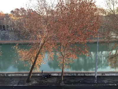 two trees in front of a wall with water at Over The Tiber Loft in Rome