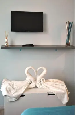 two swans sitting on a shelf with a tv at Granny's House Colosseum in Rome