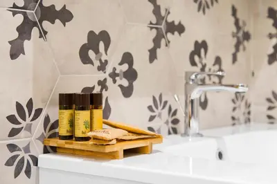 a bathroom sink with two bottles of essential oils on it at Casa Tommasina in Rome
