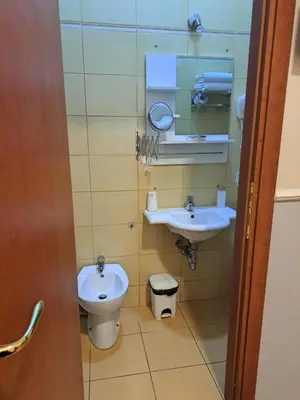 a bathroom with a toilet and a sink at Hotel Leone in Rome