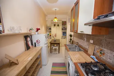 a kitchen with a white refrigerator and a sink at Giubiliana in Rome
