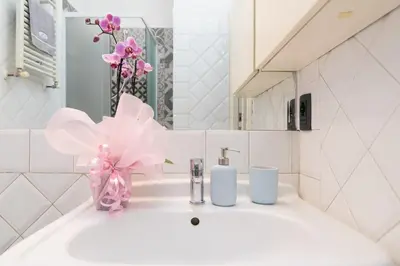 a bathroom with a sink with pink flowers on it at B&B Arco Di Gallieno in Rome