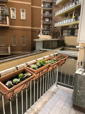 a balcony with four pots of plants on a railing at L'Angolo Di San Pietro in Rome