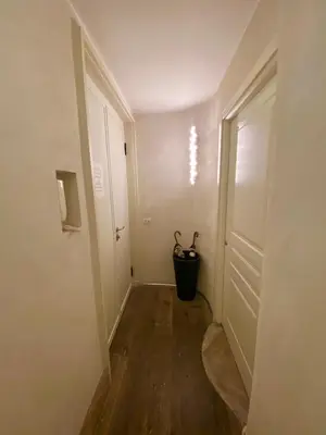 an empty hallway with a door and a plant at Spain Apartments in Rome