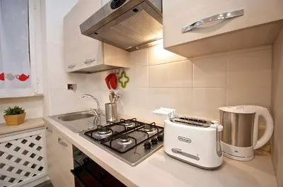 a small kitchen with a stove and a sink at Flaminio Butterfly House in Rome
