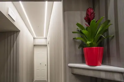 a red potted plant on a shelf in a hallway at Roma 2B in Rome