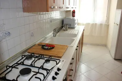 a kitchen with a stove and a sink at Casa Vacanze Voglia di Roma in Rome