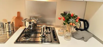 a stove top with a vase of flowers on a counter at Jubilee 2 in Rome