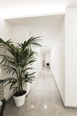 a hallway with a plant in a white room at Vaticano Luxury Guest House in Rome