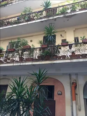 an apartment building with potted plants on the balcony at Cuore di Testaccio Apartment in Rome