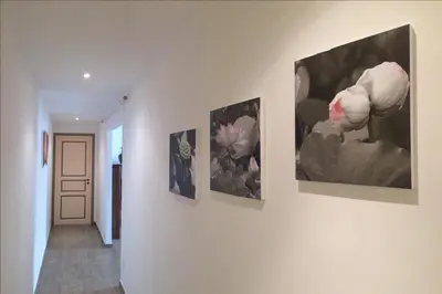 a hallway with three paintings on a wall at Cuore di Testaccio Apartment in Rome