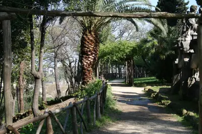 a palm tree in the middle of a path at Appartamento Castel Sant'Angelo in Rome