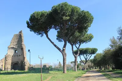a tree next to a building and a dirt road at Anice Guesthouse in Rome