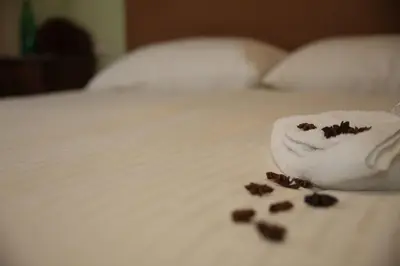 a white towel with a fork on a bed at Anice Guesthouse in Rome