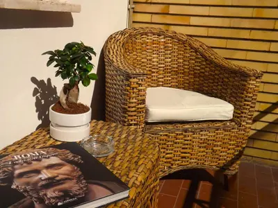 a wicker chair with a book and a plant on a table at Homs Sweet Home in Rome
