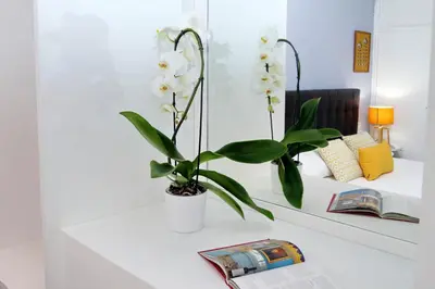 a white desk with a plant in a vase on it at Laterano 238 Apartment in Rome