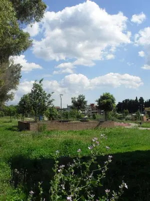 a field of grass with trees and clouds in the sky at B&B J&B in Rome
