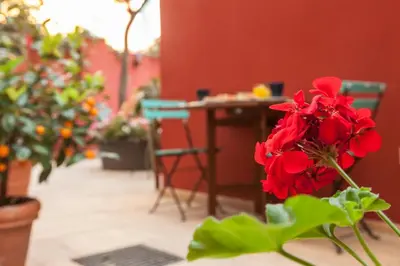 a table and chairs with red flowers in a room at Monti Garden in Rome