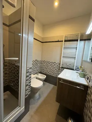 a bathroom with a toilet and a sink and a shower at Flaminio Holidays in Rome