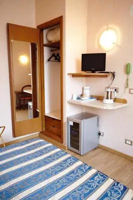 a room with a mirror and a television and a rug at Residenza Matilde in Rome